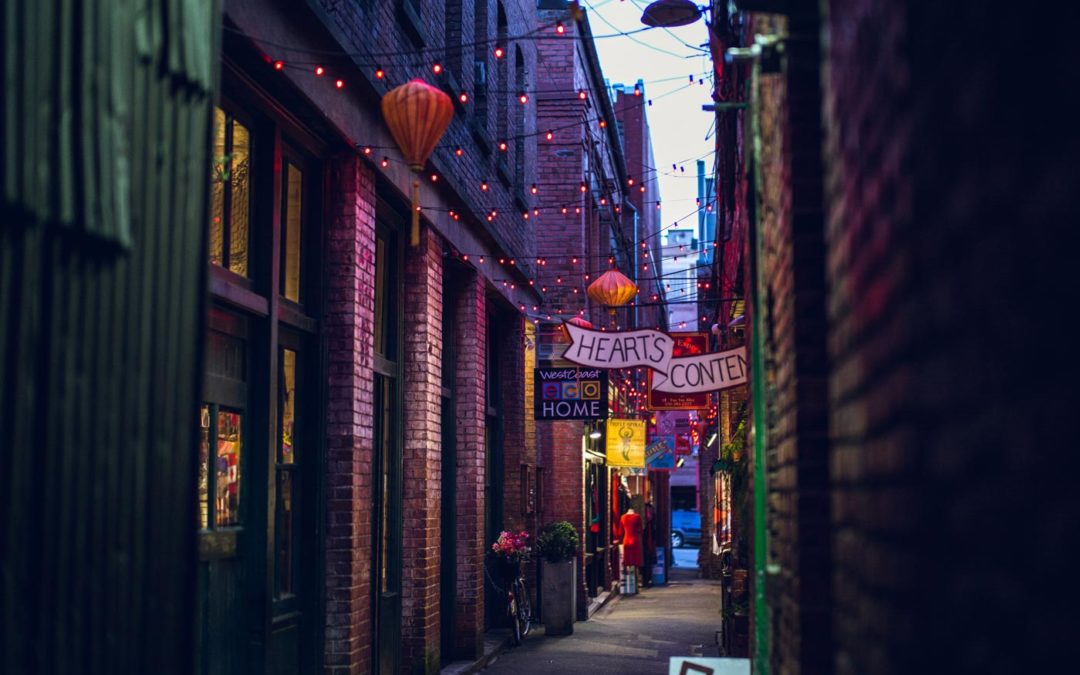 ARTICLE 6 – Documentation