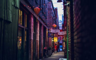 ARTICLE 6 – Documentation